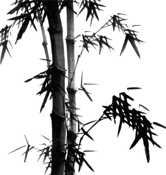 A black and white photo of a bamboo
AI-generated content may be incorrect.