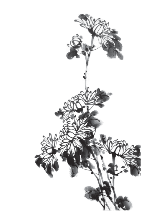 스케치, 꽃, 흑백, 그림이(가) 표시된 사진
AI 생성 콘텐츠는 정확하지 않을 수 있습니다.