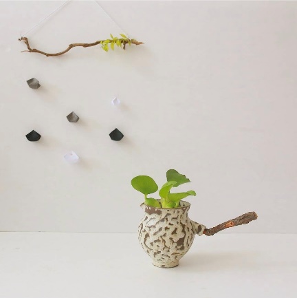 A potted plant in a pot
AI-generated content may be incorrect.